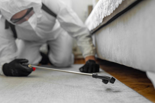 Professional Bed Bug Control technician working in Brentwood, MD
