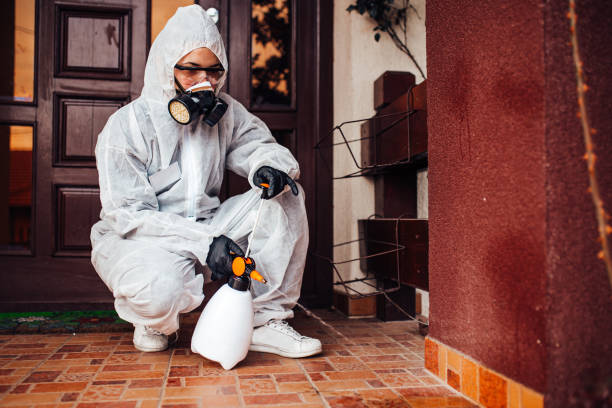 Reliable Bed Bug Control contractor in Brentwood, MD by Nex Pest Control
