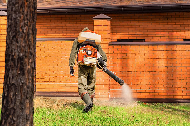 Trusted Cockroach Control service in Brentwood, MD - Nex Pest Control